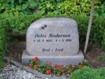 Petri Andersen.jpg